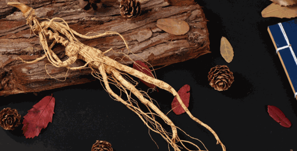 益元参号保健品